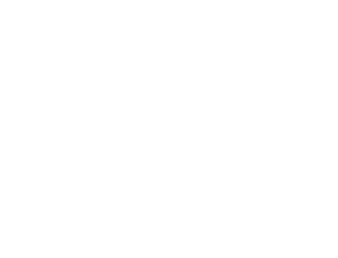 Verbo da Vida